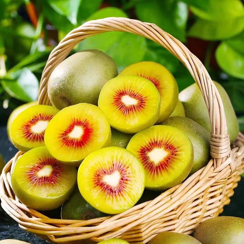 四川蒲江红心猕猴桃果肉细腻 香甜可口