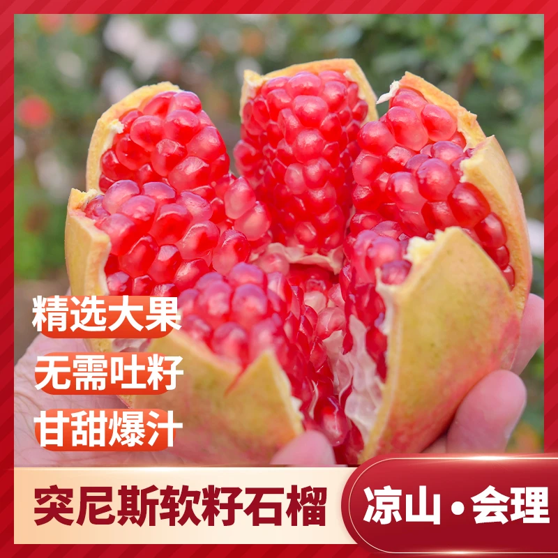 四川大凉山突尼斯软籽石榴颗颗多汁甜蜜可口 彩箱/礼盒包装
