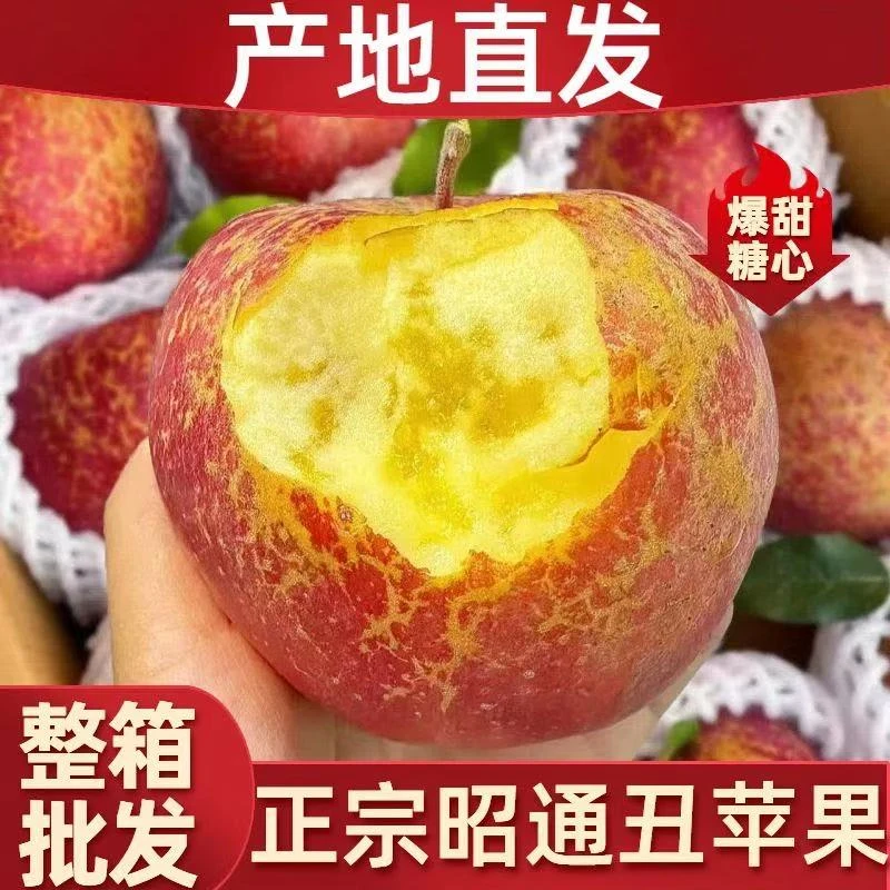 云南昭通冰糖心丑苹果新鲜多汁水果纯甜脆红富士产地直发高山高原