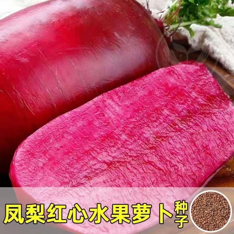 原装#凤梨萝卜种子红皮红心水果萝卜籽甜脆萝卜种子春秋四季蔬菜