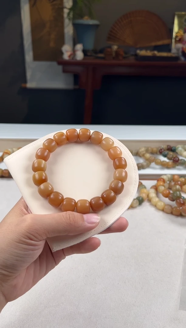 【闪购商品】菩提根/象牙果手串13干磨(235)