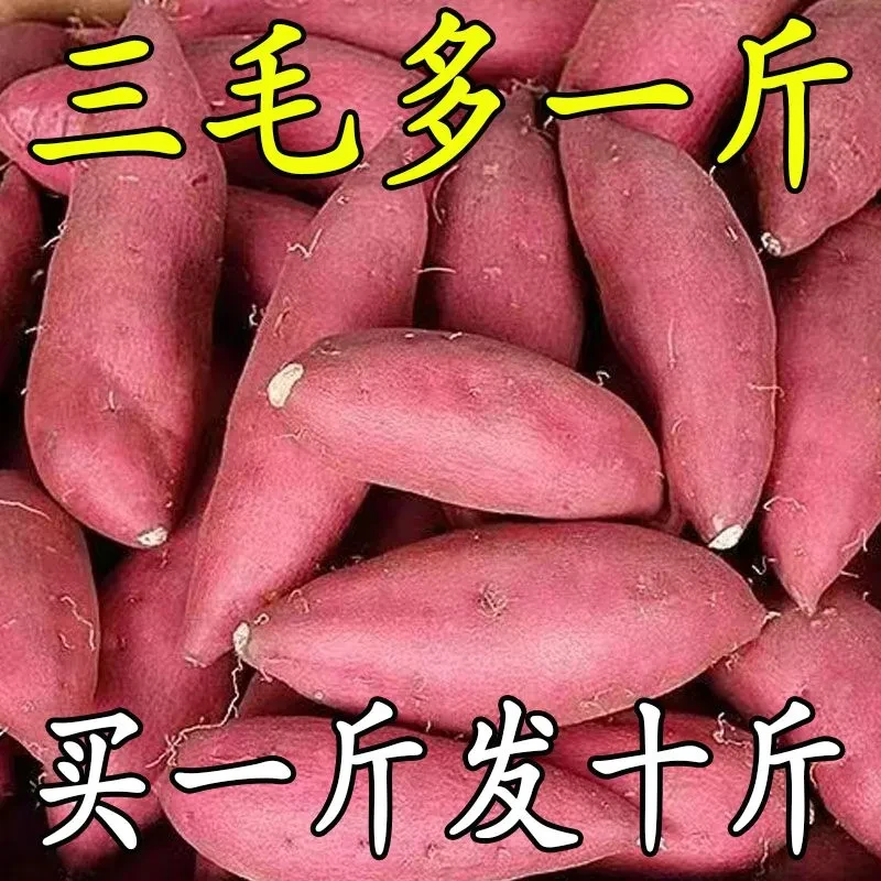 【抢购中】新鲜沙地红薯红心黄心蜜薯地瓜1-9斤番薯蔬菜水果板栗