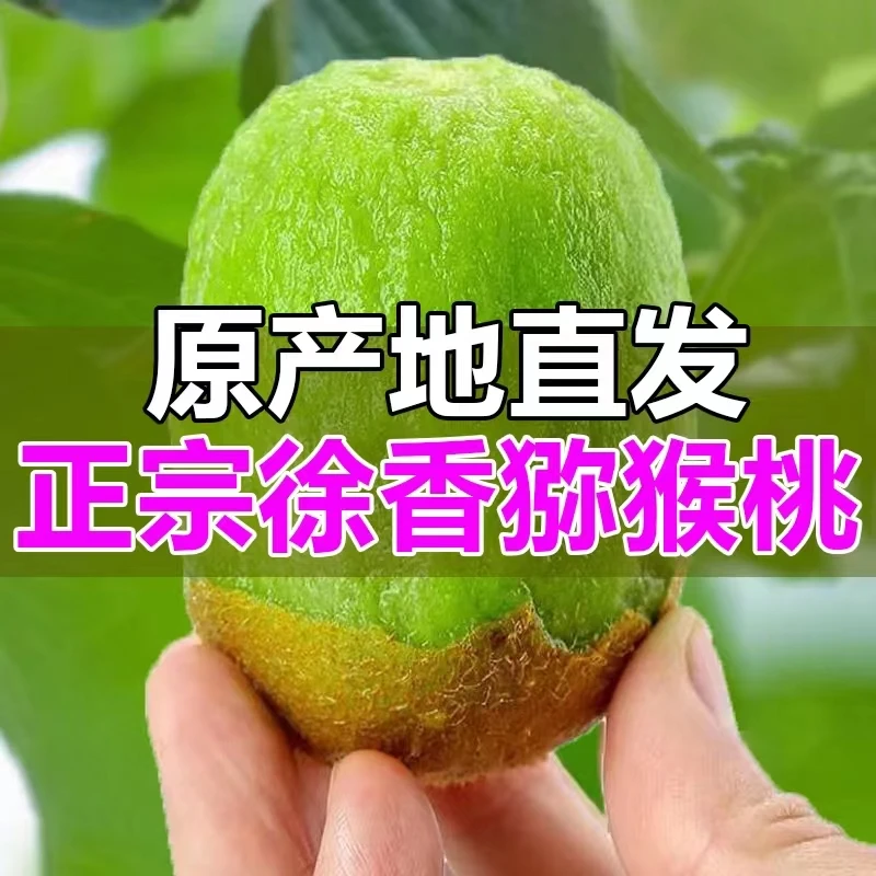 陕西周至眉县徐香猕猴桃绿心奇异果当应季新鲜水果自然熟整箱包邮