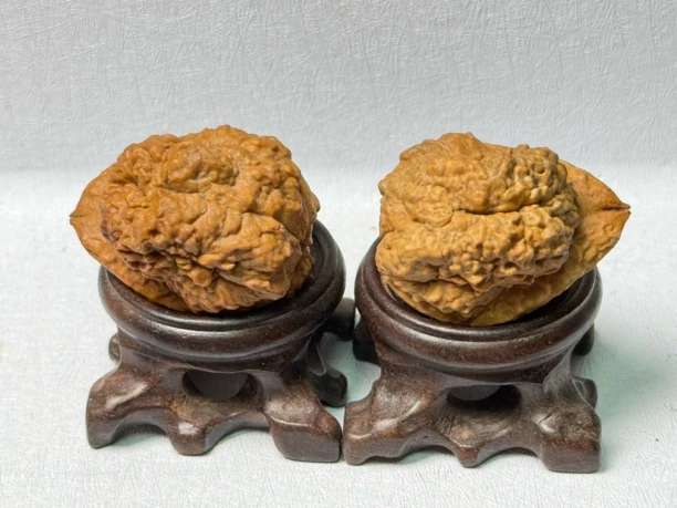 云南铁核桃金蝉塔