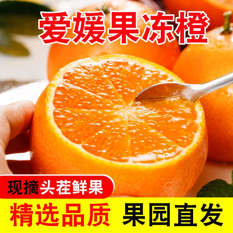 橙业橙心四川正宗爱媛38号果冻橙现摘现发新鲜当季水果孕妇包邮TT