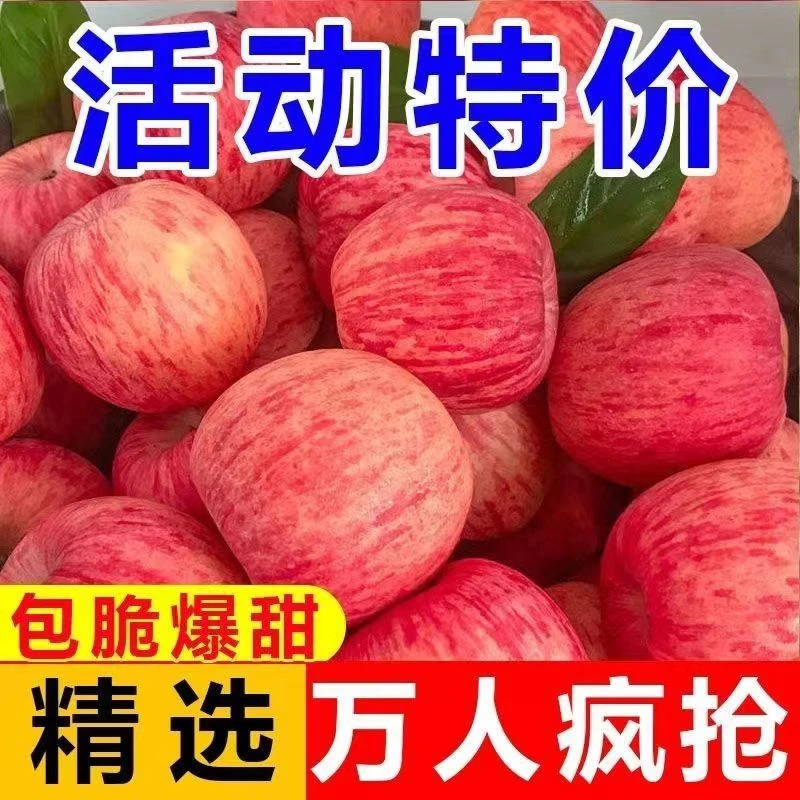 正宗陕西红富士苹果脆甜当季水果冰糖心当季香甜细腻多汁2/5/10斤