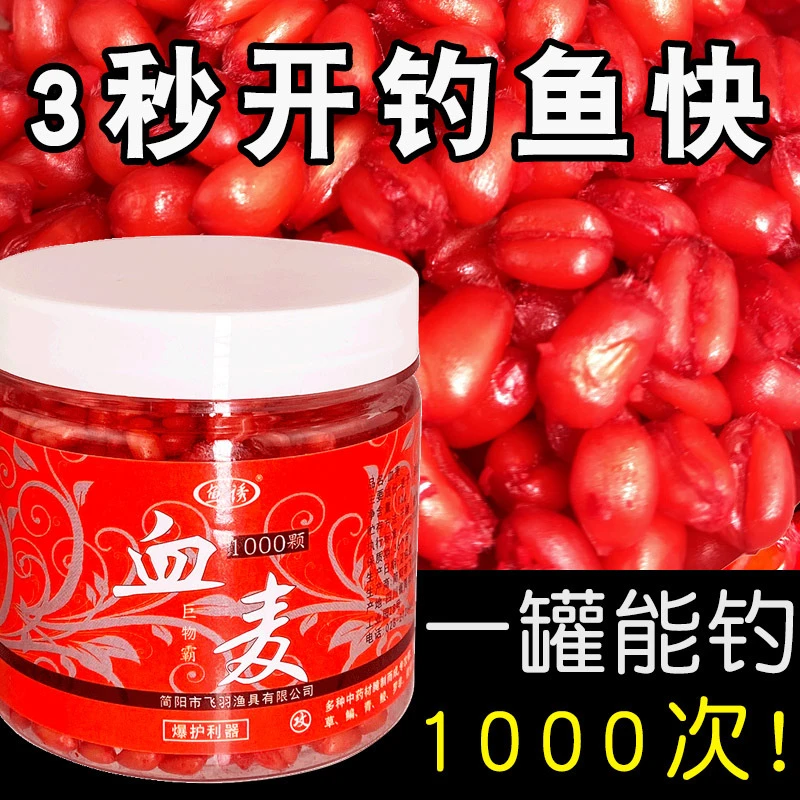 垂钓血麦钓鱼饵料打窝快速野钓塘钓鲫鱼鲤鱼草鱼通用持久黑坑鱼料
