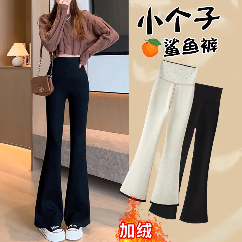 小个子微喇鲨鱼裤女外穿秋冬加绒高腰显瘦瑜伽黑色打底裤喇叭裤冬