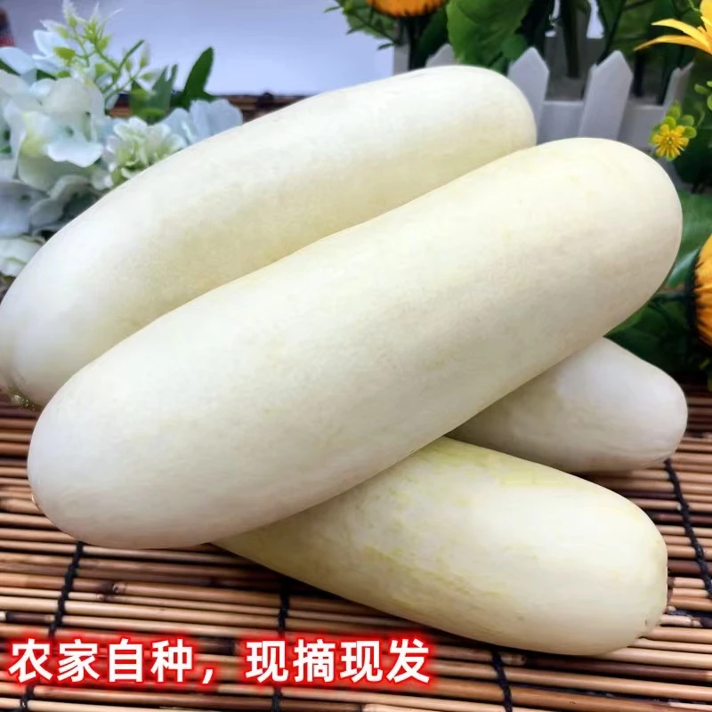 湖北新鲜农家自种白皮黄瓜应季本地蔬菜3/5斤包邮