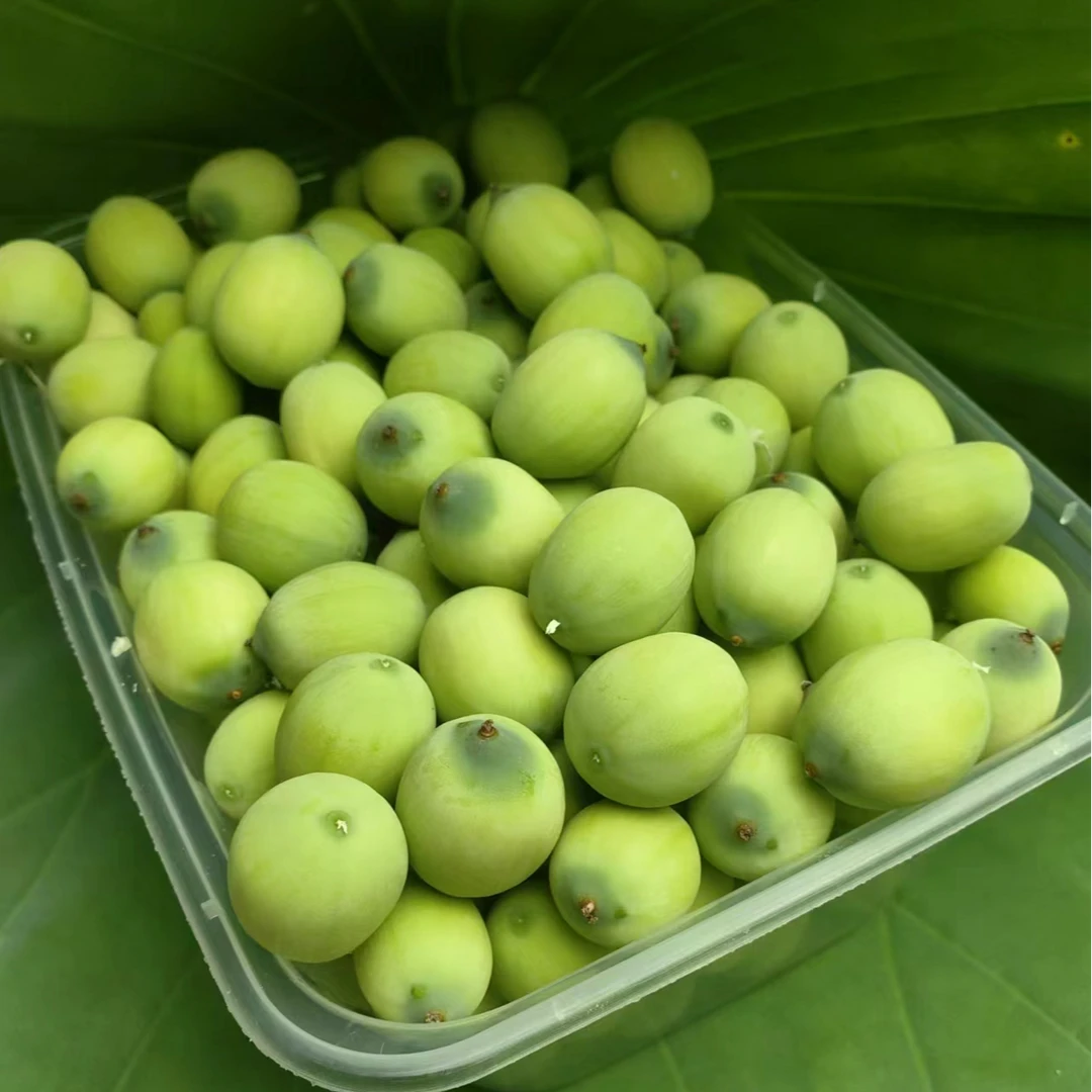 【顺丰包邮】洪湖现剥莲子莲蓬新鲜嫩莲子米绿色蔬菜即食生吃