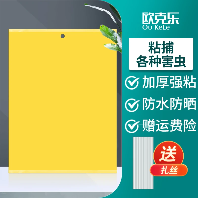 欧克乐粘虫板黄板双面板飞虫苍蝇贴纸果蝇诱捕器粘蝇纸粘虫果蝇贴