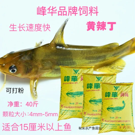 黄辣丁黄骨鱼鱼饲料饵料钓鱼养殖鱼塘