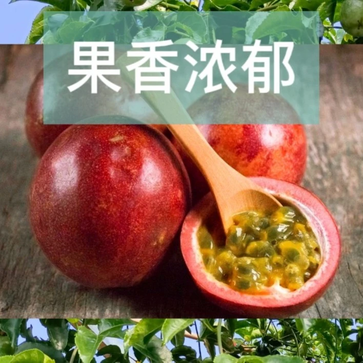 台农1号百香果4斤装精品大果新鲜爆汁饱满酸甜多汁口感美味食用