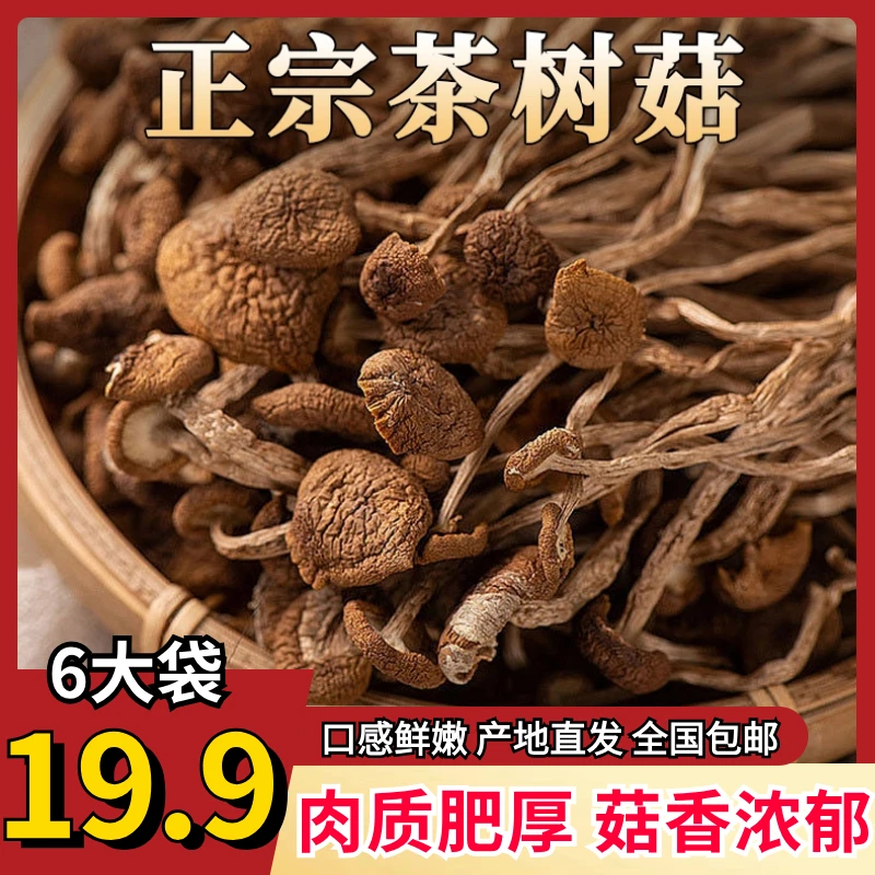 【19.9元6袋】茶树菇干货 不开伞无硫熏茶树菇 煲汤炒菜炒肉炖汤