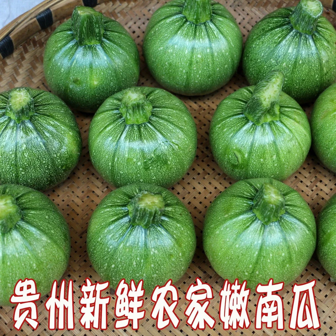 贵州农家新鲜蔬菜嫩南瓜绿皮迷你小南瓜仔青菜瓜1斤5斤包邮