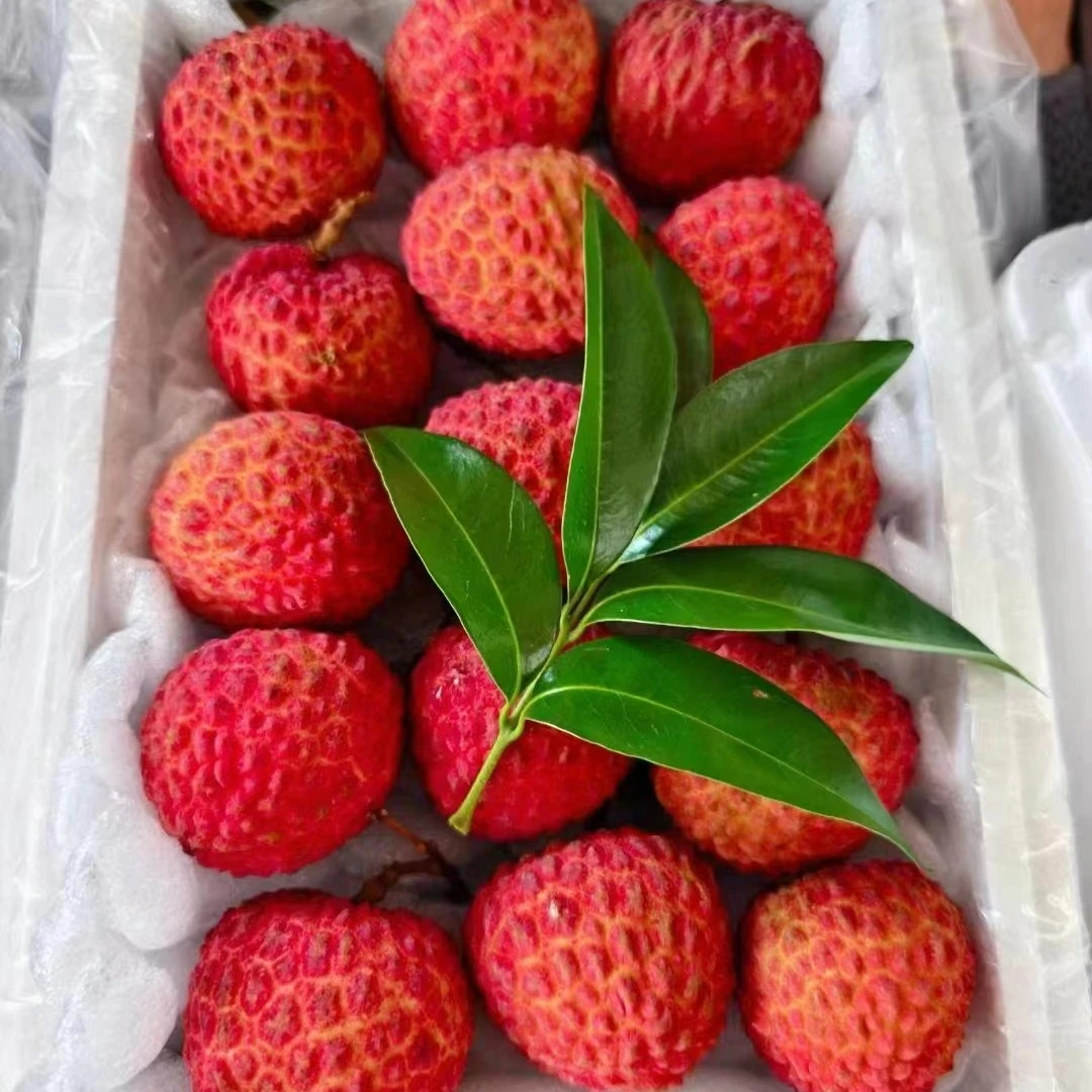 荔枝王荔枝同城送