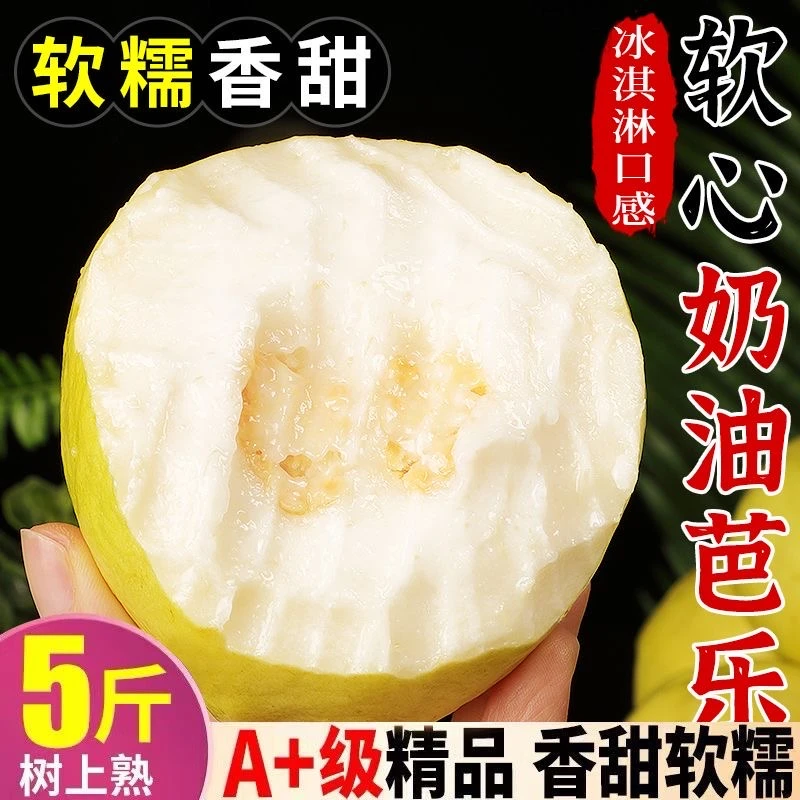 「坏果包赔」广东果园直发清甜芭乐白心番石榴软糯香甜新鲜应季水果