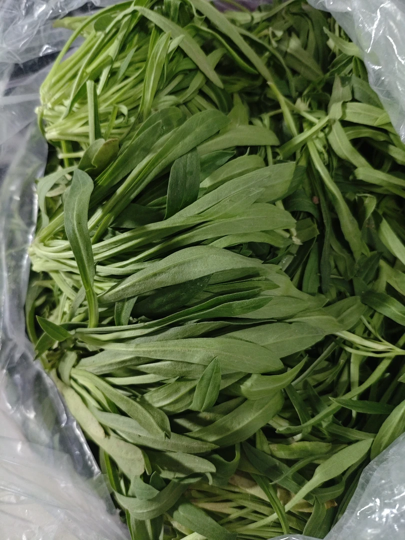 面条菜柳叶菜500克