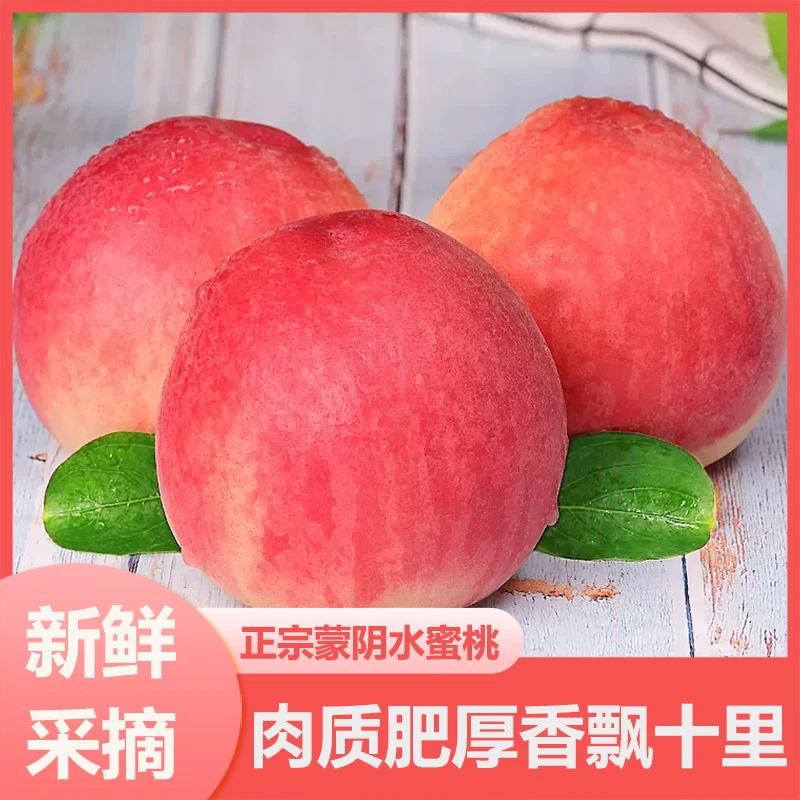 【坏果包赔】正宗山东蒙阴水蜜桃 新鲜现摘水蜜桃香甜果香浓郁