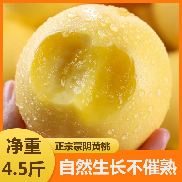 【坏果包赔】正宗山东蒙阴黄金油桃脆甜蜜桃现摘现发新鲜水果