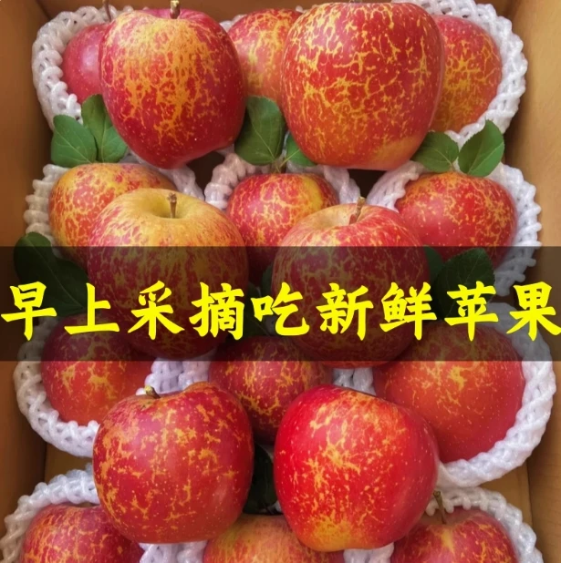 富士苹果脆脆甜多汁