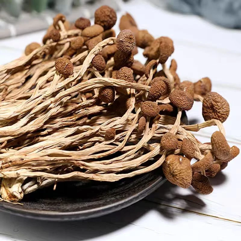 江西农产品广昌一级茶树菇浓郁营养煲汤甄选鲜香菌菇送礼佳品餐饮