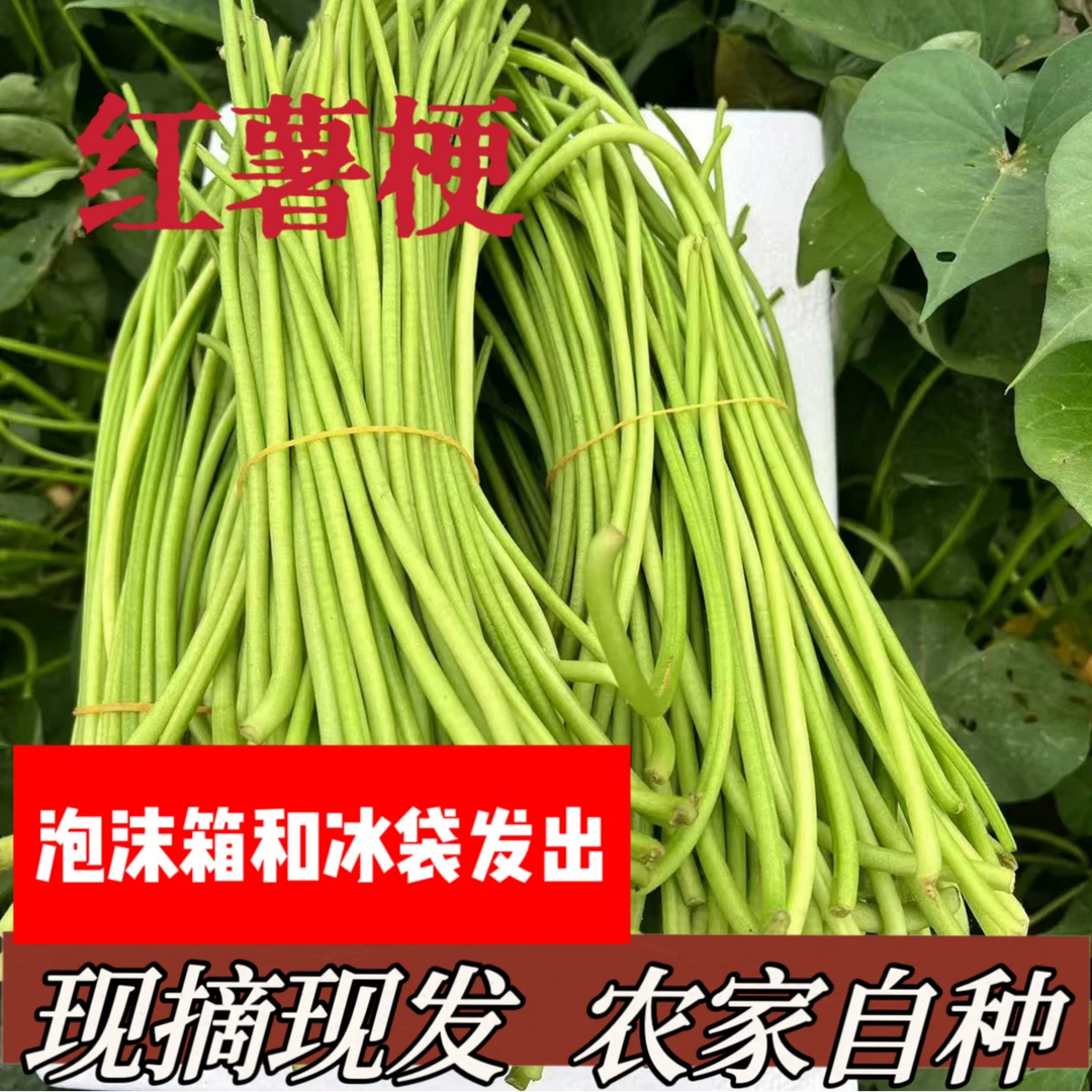 现摘现发 农家自种 新鲜红薯梗 3斤 5斤 京东生鲜包邮