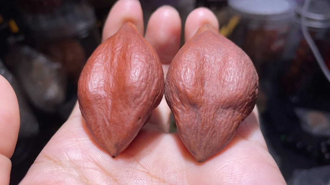 异形金刚杵橄榄核