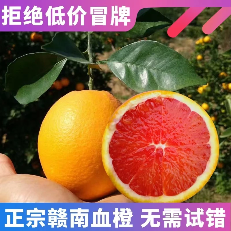 正宗江西赣南血橙新鲜应季水果5/10/20斤甜橙整箱包邮赣州香橙