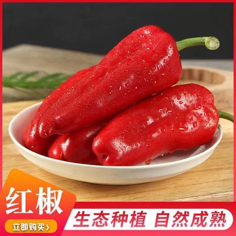 东北特产红辣椒新鲜蔬菜农家菜黑土地种植纯绿色农产品
