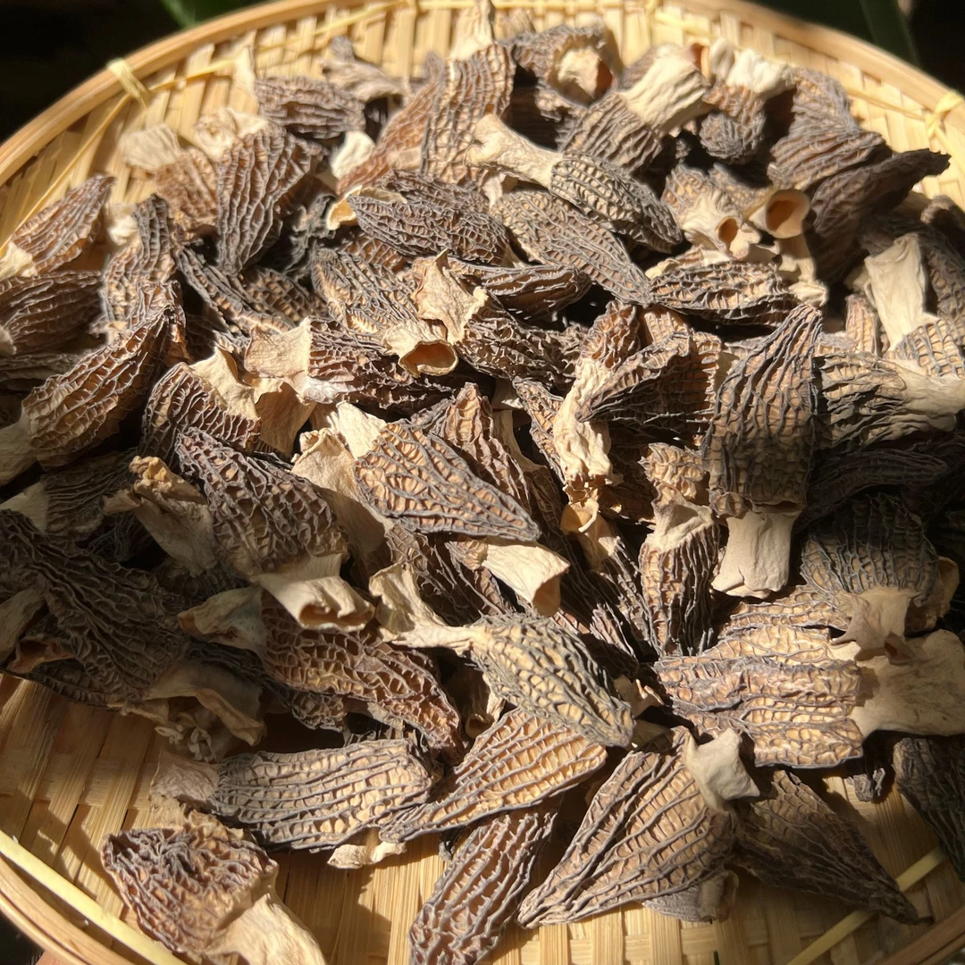 大山深处 农家山货羊肚菌