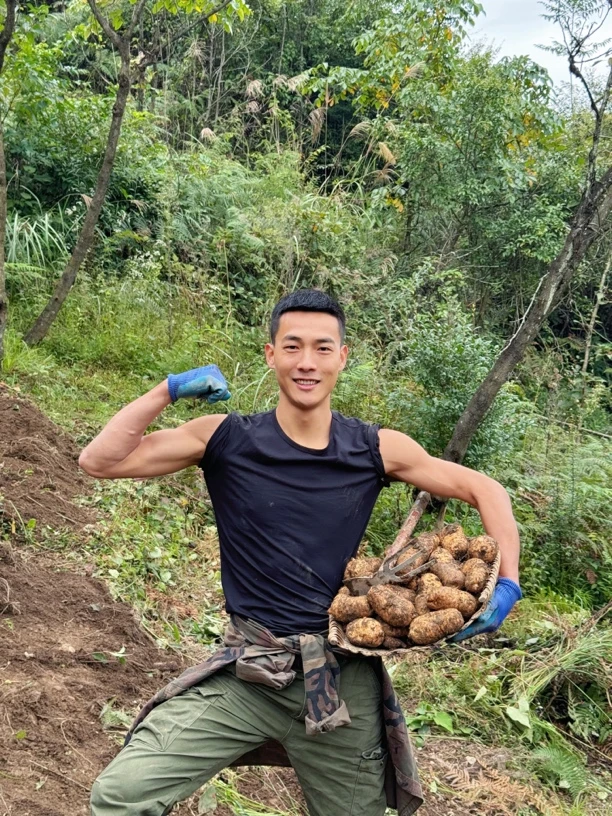 云南昭通新鲜天麻