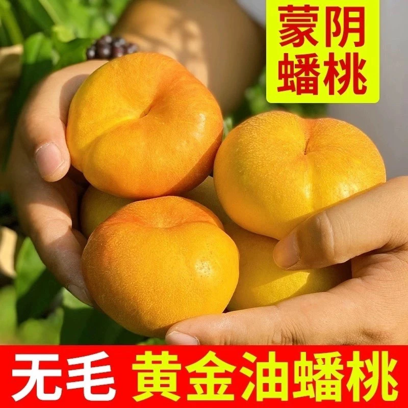 山东蒙阴黄金油蟠桃没有桃毛的油扁桃孕妇宝宝应季桃包邮3/4/5斤