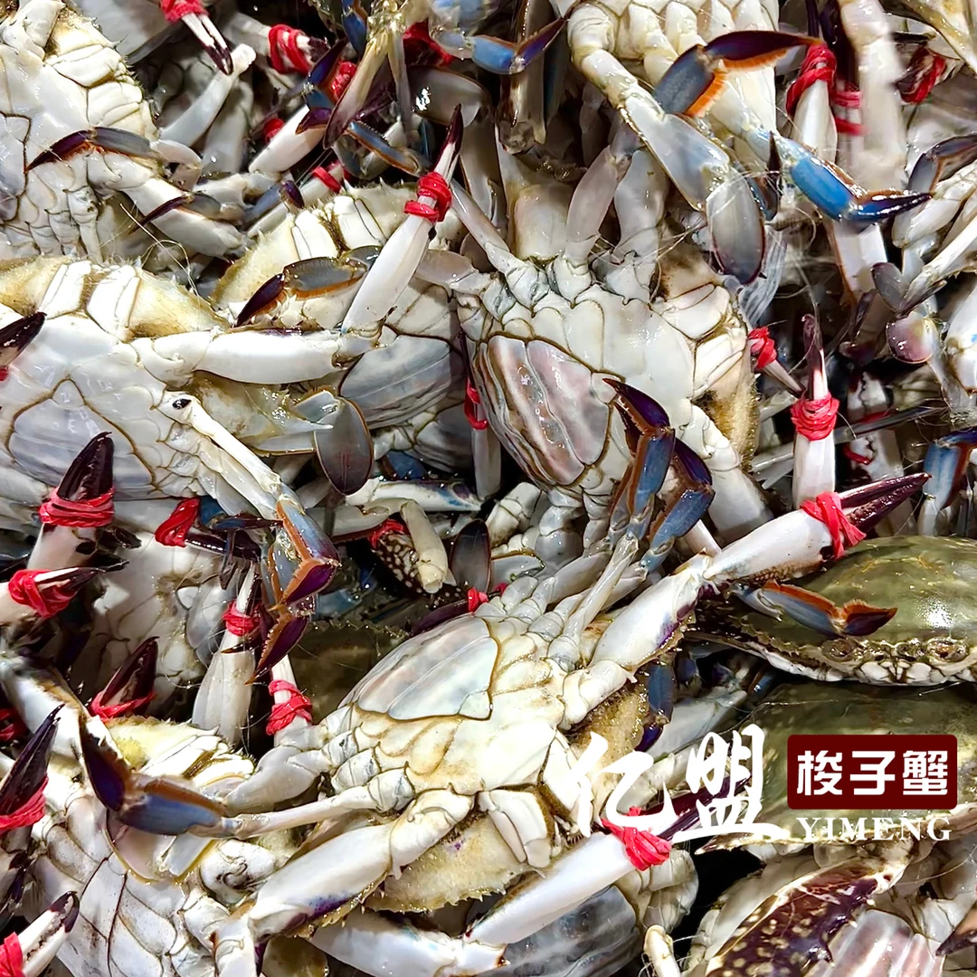 【保鲜不保活】直播现称野生蟹 （不保全腿）2两以上 2斤起拍 8只左右