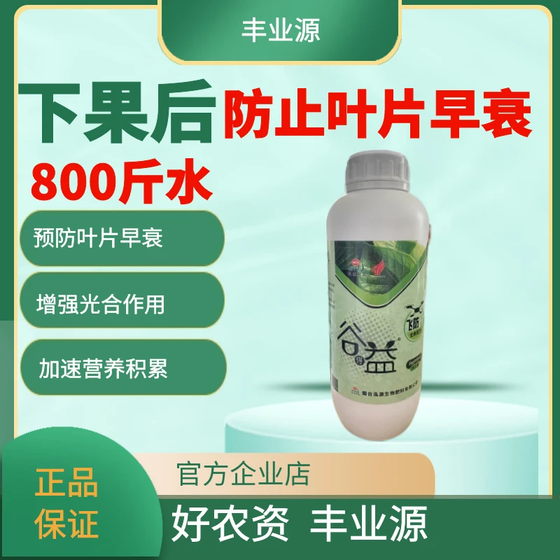 下果后防止叶片早衰