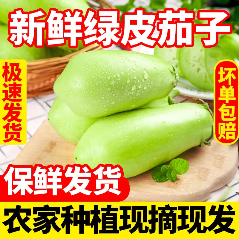 青茄子河南现摘新鲜青茄子鲜嫩无籽可生吃绿茄子保鲜发货包邮茄子
