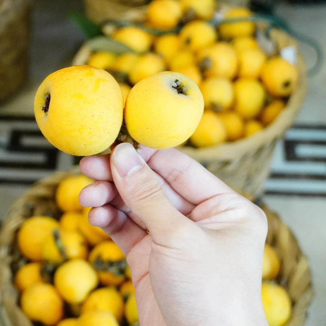 （84颗中大果）2025正宗苏州东山自家果园白玉枇杷约4斤礼盒装