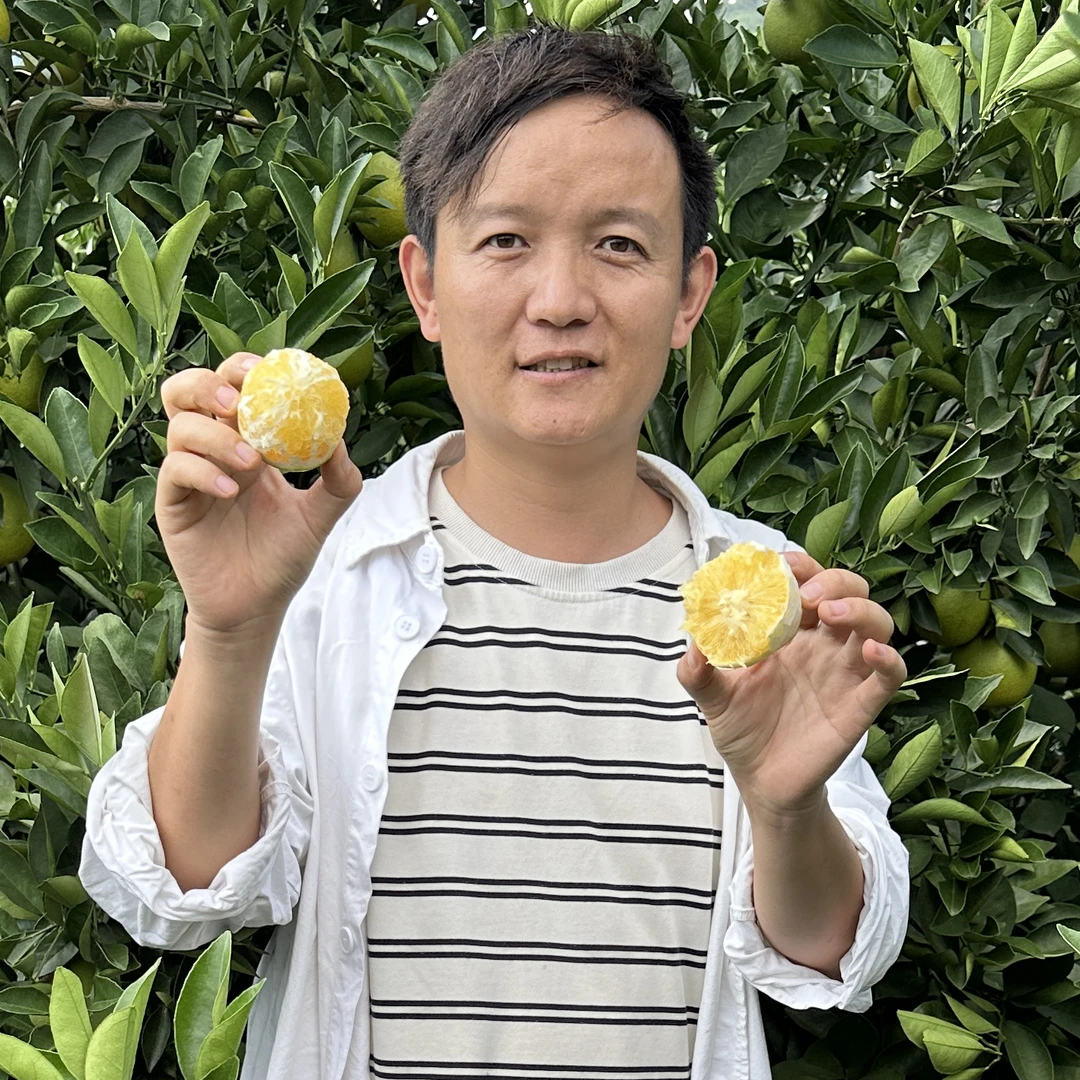每天水果优选正宗云南哀牢山冰糖橙当季新鲜现摘现发 整箱顺丰