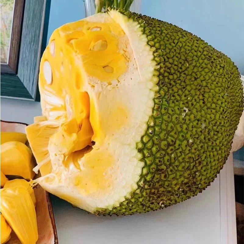 每天水果优选 海南泰八菠萝蜜 自家果园爽脆香甜浓郁干包当季新鲜