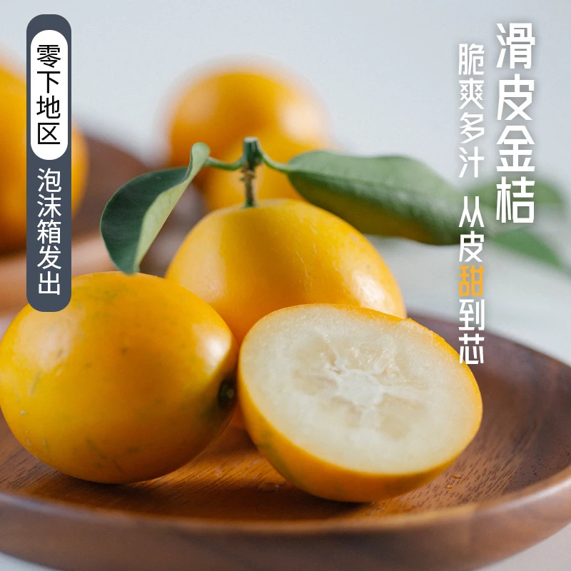 【融安金桔代言人推荐】正宗滑皮小金桔当季新鲜纯甜现摘现发礼盒