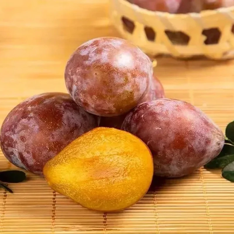 每天水果优选新疆喀什法兰西西梅新鲜当季水果甜蜜多汁顺丰包邮