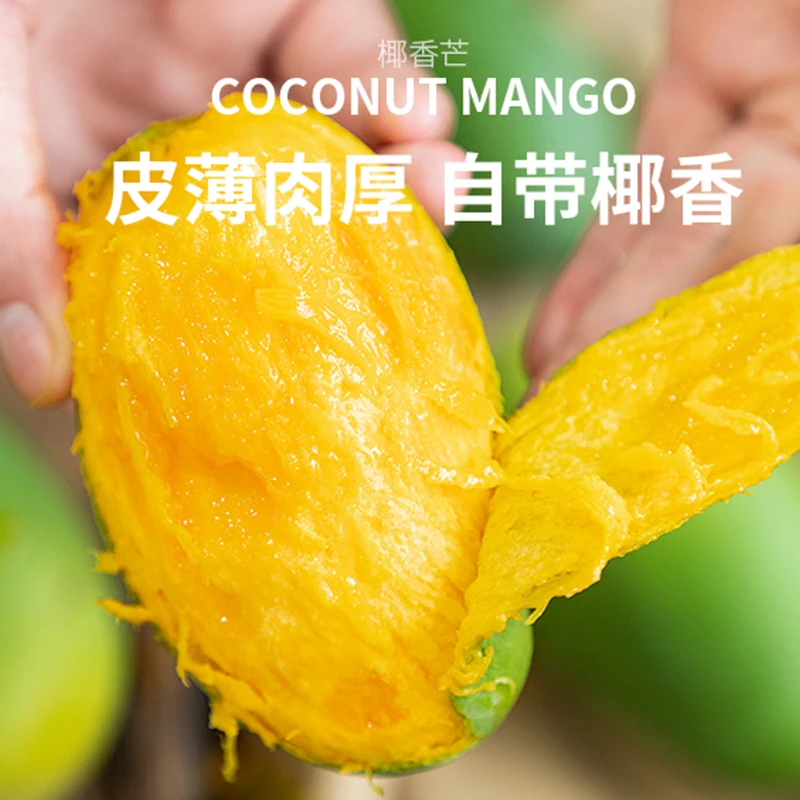 每天水果新鲜椰香芒攀枝花芒果夏季整箱应季当季时令水果香甜包邮