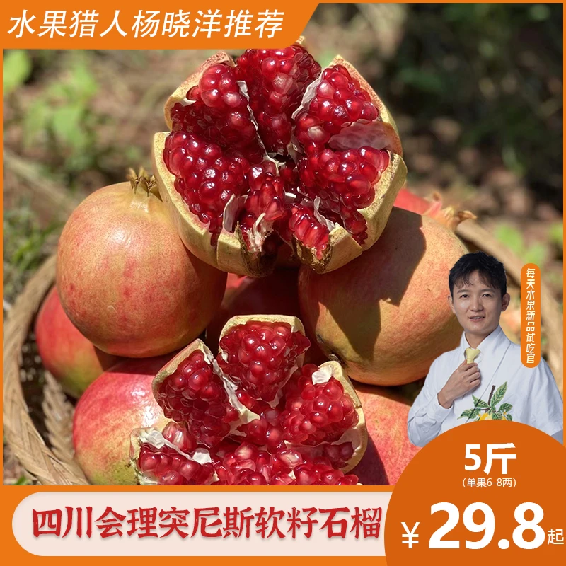 每天水果优选 四川会理突尼斯软籽石榴 酸甜饱满爆汁当季新鲜水果