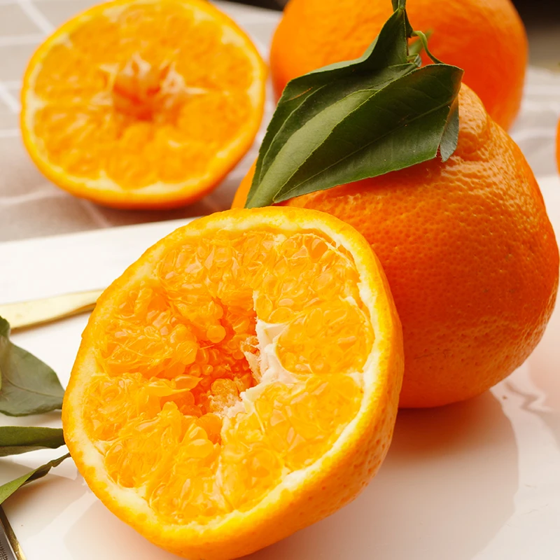 每天水果优选四川蒲江耙耙柑 4.5斤当季新鲜酸甜多汁柑橘整箱包邮