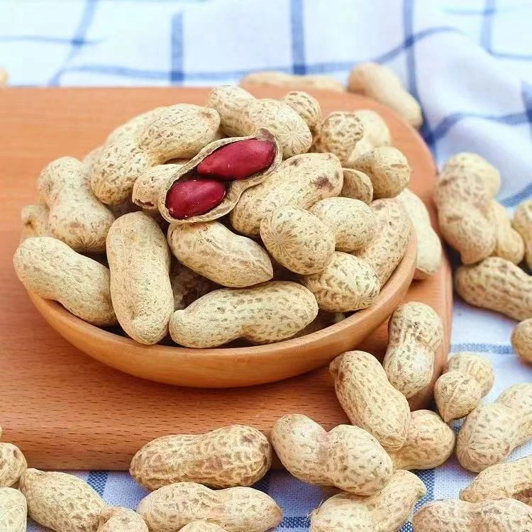 【21.9元3斤】铁锅炒花生新鲜现炒原味熟花生带壳炒熟净重年货批发