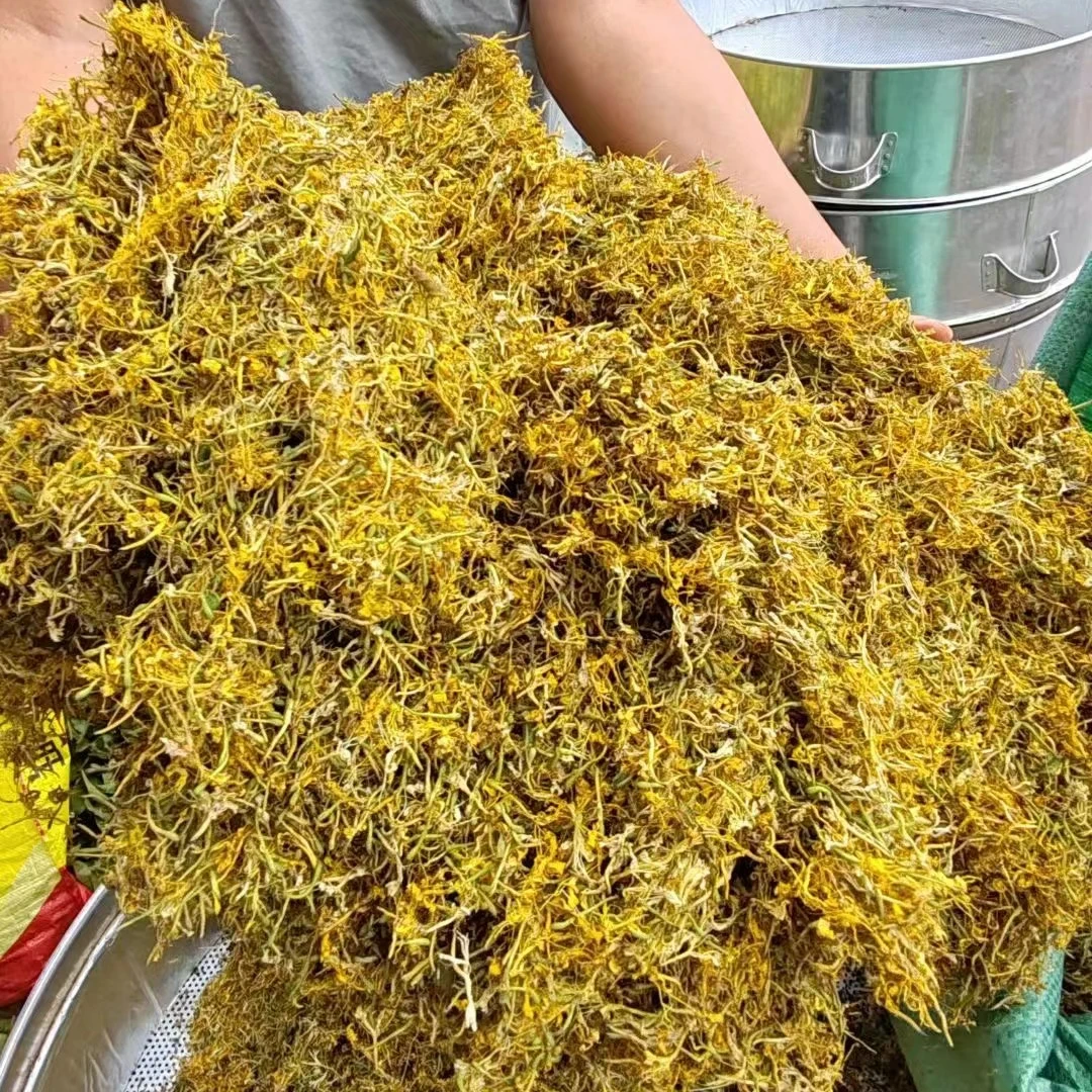 【苗阿妹小小】贵州山货金银花100g