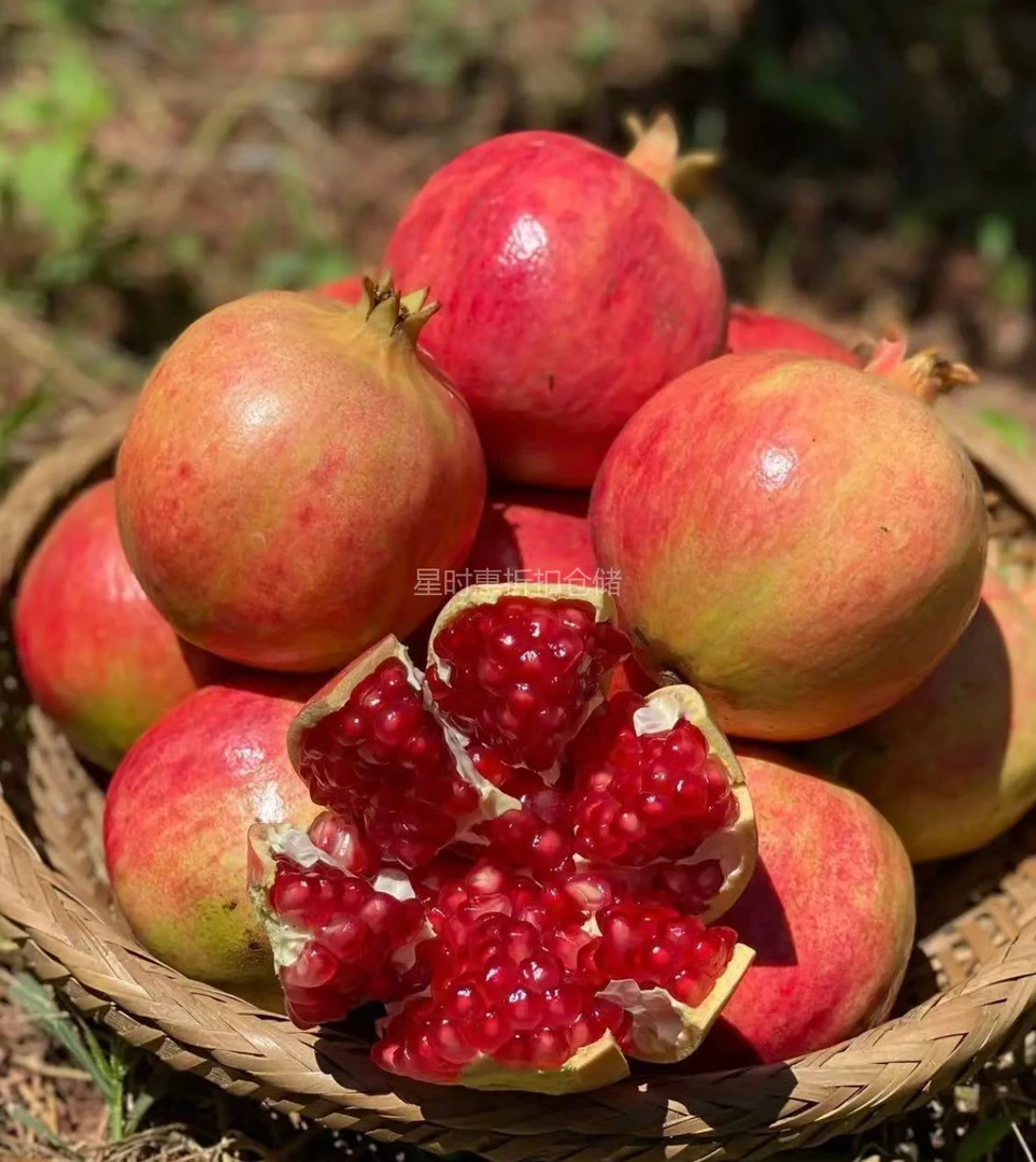 【4个装】软籽石榴1盒（重量：2.5～3斤左右）