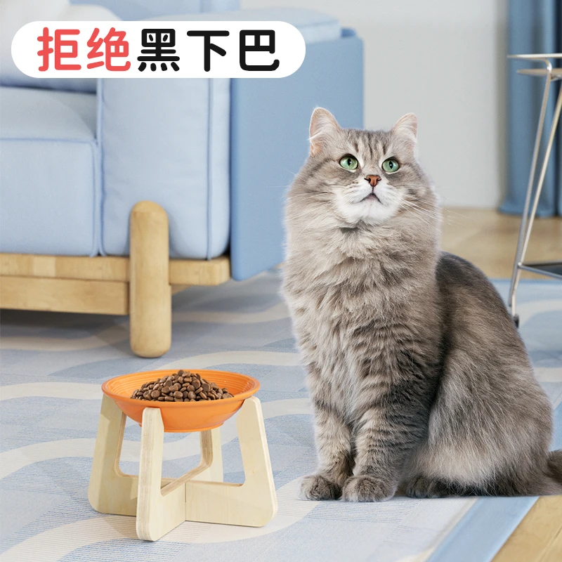 宠物小口猫碗糖果色餐前猫碗防滑马卡龙陶瓷防止黑下巴陶瓷猫碗