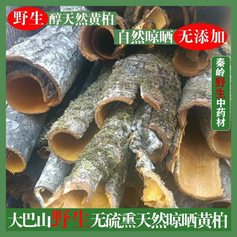 四川深山黄柏黄柏皮川黄柏关黄柏带皮批发正品包邮