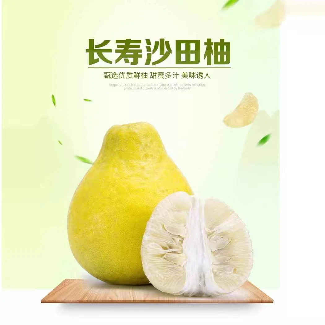 【福利装】长寿沙田柚【中果1.5-1.7斤，10个】柚子